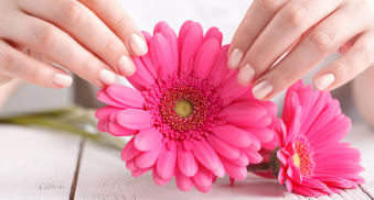 Vaginal procedures, vagina wall repairs and/or vaginal hysterectomy
